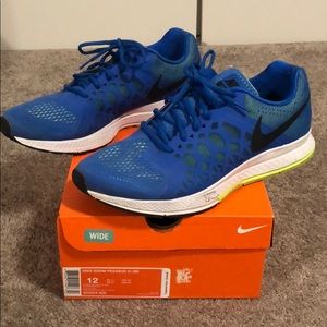 Nike Zoom Pegasus 31 (Wide)